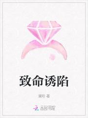 致命诱爱全文阅读