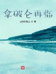 拿破仑2