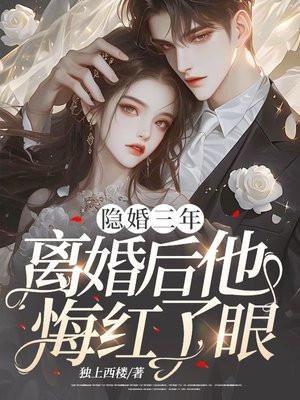 隐婚3年什么