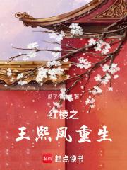 红楼之王熙凤重生阅读