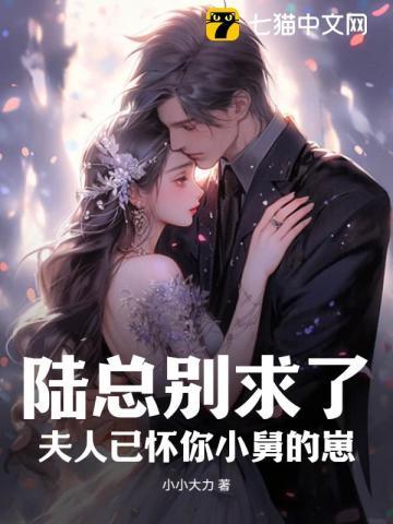 夫人才是你的白月光免费阅读