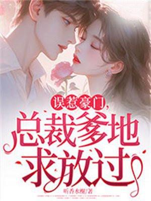 误惹豪门总裁超霸道