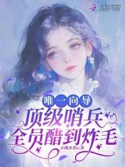 唯一的向导与很多位哨兵肉