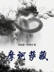 摩诃萨藏 孤独是一种宿命