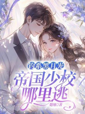 帝国少将免费阅读全文