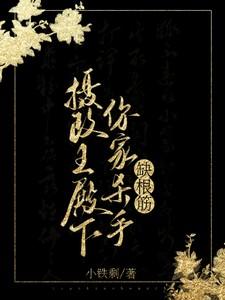 你家杀手缺根筋全文阅读