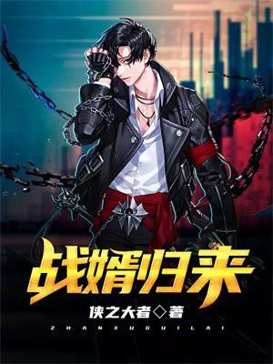 战婿归来全集免费观看