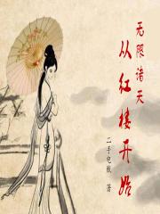 无限诸天从红楼开始 二手电瓶TXT奇书