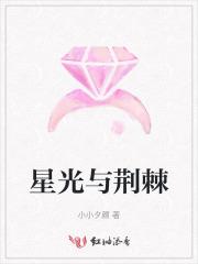 荆棘与星辰