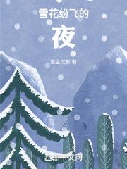 雪花纷飞的夜晚 作文
