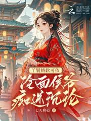 丫鬟宠王爷