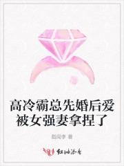 高冷总裁强势宠