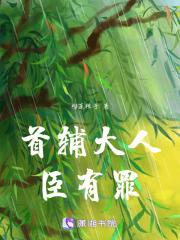 首辅大人宠妻日常免费阅读