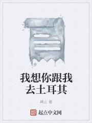我想带你一起去土耳其