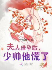 夫人又怀孕了