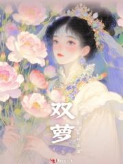 双萝卜牛腩面