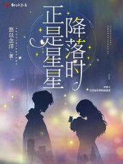 正是星星降落时下一句