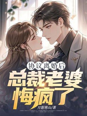总裁离婚后悔