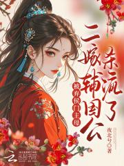 二嫁弃妃免费阅读