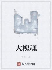 大槐魂金斗子最值得培养的5个英雄