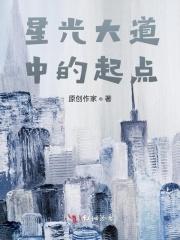 星光大道历程片头