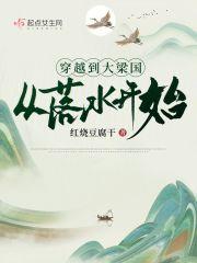 穿越到大梁国从落水开始TXT下书网