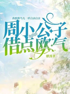 男主叫周公子