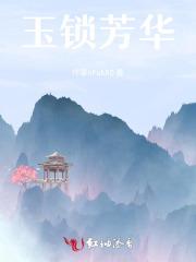 玉锁芳华 全文阅读