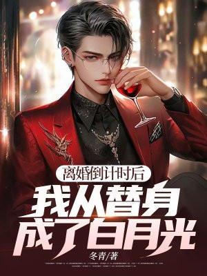 第三章替身第四章离婚纪念日