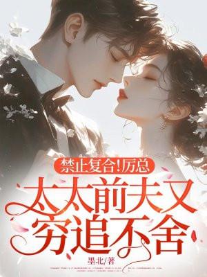 厉太太我们复婚吧免费阅读
