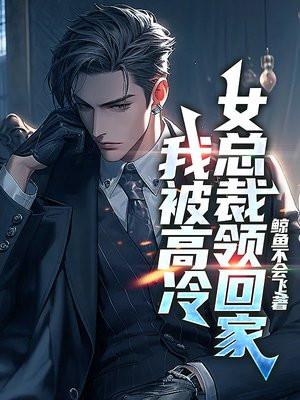 我的高冷女总裁