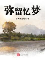 弥留解析