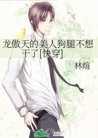 龙傲天的美人狗腿不想干了[快穿