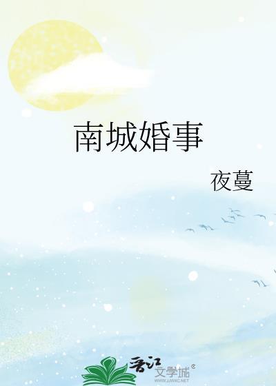 南城婚事讲什么