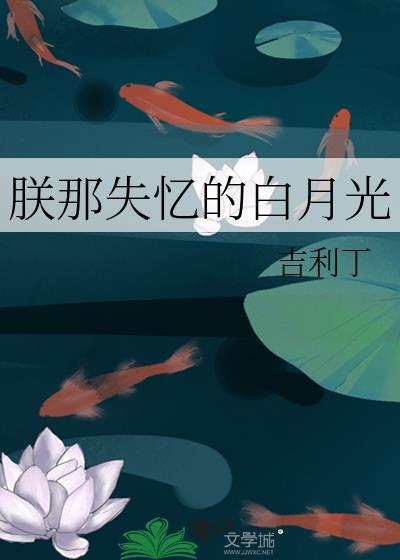 朕那失忆的白月光晋江