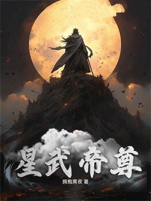 星武大帝是什么境界