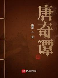 唐奇谭讲了什么