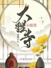 大理寺卿po笔趣阁
