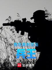 我在美利坚当兵王精校txt