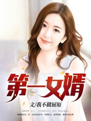 第一女婿陈风会文免费阅读