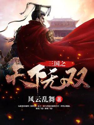 三国之天下无双TXT奇书网