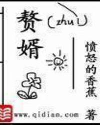赘婿电视剧全集免费播放