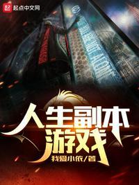 人生副本游戏txt八零电子书