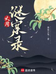 大周谜案录TXT