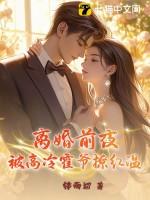 离婚前霍太太失忆了全篇