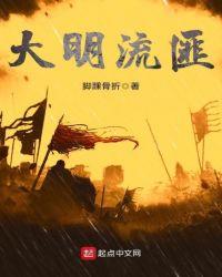 大明流匪笔趣阁完整版