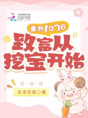 重回1978致富从挖宝开始TXT