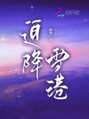 迫降雪港剧情介绍