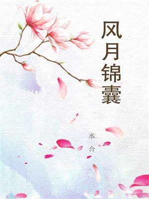 风月锦囊齐雁锦和枣花