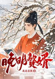 晚明和赘婿哪个好